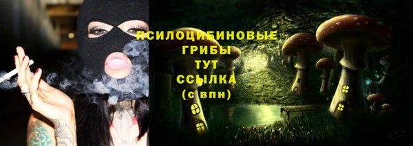 дурь Вяземский