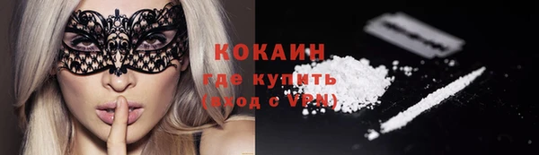 дурь Вяземский