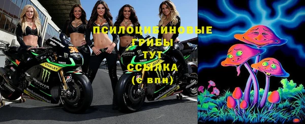 дурь Вяземский